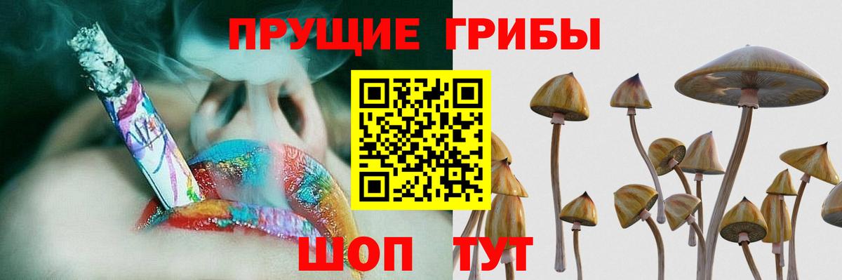 Псилоцибиновые грибы прущие грибы  Галлюциногенные грибы Cubensis  Вход с VPN  Кызыл 