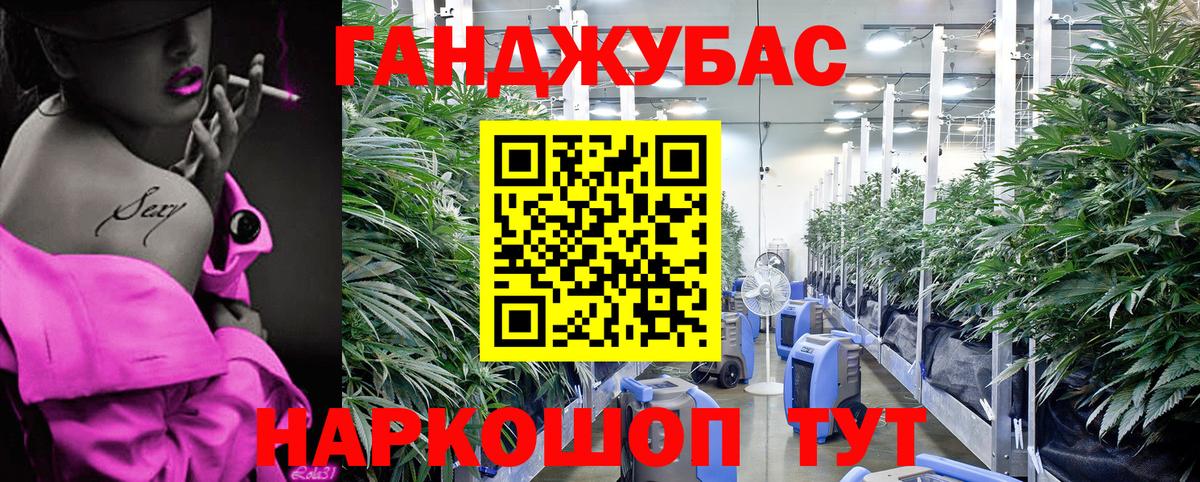 Кызыл  Канабис индика  МАРИХУАНА Ganja  МАРИХУАНА Ganja  Вход с VPN  Шишки марихуана сатива 